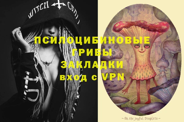 мет Кукмор