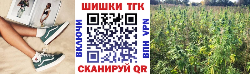 Бошки Шишки марихуана Новокубанск